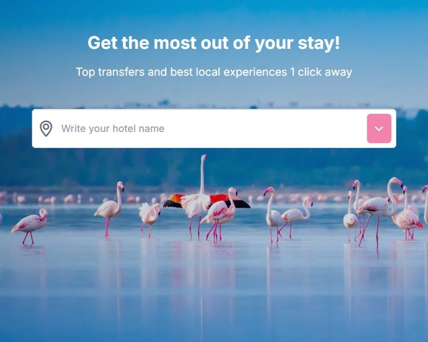 Book Excursions, Activities and Transfers